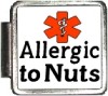 ALLERGIC TO NUTS Custom Photo Italian  Charm