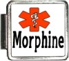 MORPHINE Custom Photo Italian  Charm