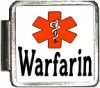 WARFARIN Custom Photo Italian  Charm