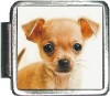 A10003 Chihuahua Italian Charm