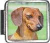 A10009 Dachshund Italian Charm