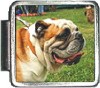 A10013 Bulldog1 Italian Charm