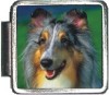 A10017 Sheltie Italian Charm