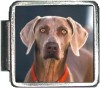 A10021 Weimaraner Italian Charm