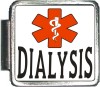 DIALYSIS Custom Photo Italian  Charm