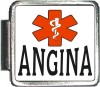 ANGINA Custom Photo Italian  Charm