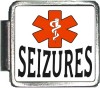 SEIZURES Custom Photo Italian  Charm