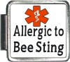 Allergic to Bee Sting Custom Photo Italian  Charm