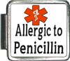 Allergic to Penicillin  Custom Photo Italian  Charm