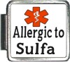 Allergic to Sulfa Custom Photo Italian  Charm