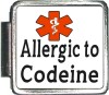 Allergic to Codeine Custom Photo Italian  Charm