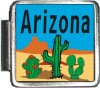 A10050 Arizona Italian Charm