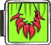 X125 Chili Peppers Italian Charm