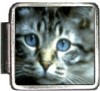 A10164 Kitty with Blue Eyes Italian Charm