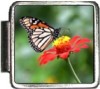 A10176 Butterfly on Flower Italian Charm