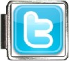 twitter logo Custom Photo Italian  Charm