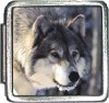 A10192 Wolf Face Italian Charm