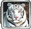 A10213 Siberian Tiger Italian Charm