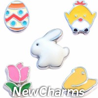 CSL116 Hoppy Easter Charm Set for Floating Lockets