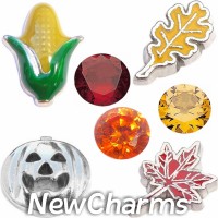 CSL162 Autumn Season Fall Leaves Charm Set for Floating Lockets