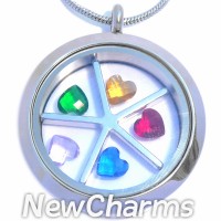 Locket with Divider