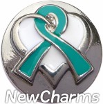 GS521 Teal Ribbon Snap Charm