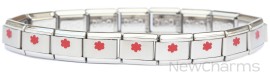 Red Medical Starter Bracelet